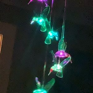 Meet your Posher, Mackenzie